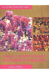 Книга Лианы с декоративными листьями и плодами