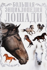 Лошади. Большая энциклопедия