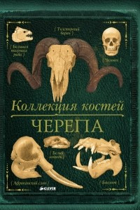 Книга Коллекция костей: Черепа