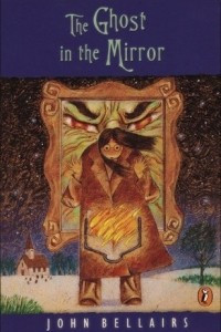 Книга The Ghost in the Mirror