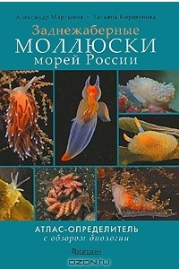 Книга Заднежаберные моллюски морей России. Атлас-определитель с обзором биологии