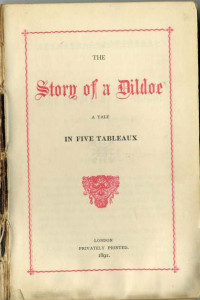 Книга The story of a Dildoe