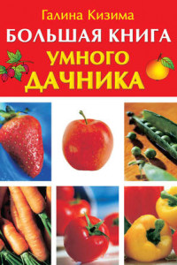 Книга Большая книга умного дачника