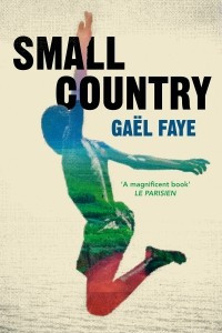 Книга Small Country