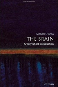 Книга The Brain: A Very Short Introduction