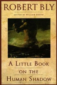 Книга A Little Book on the Human Shadow