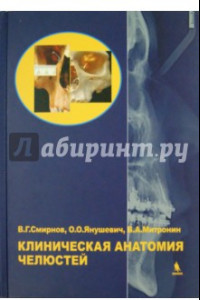 Книга Клиническая анатомия челюстей
