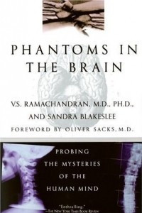 Книга Phantoms in the brain