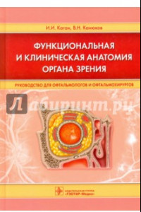 Книга Функциональная и клиническая анатомия органа зрения. Руководст. для офтальмологов и офтальмохирургов