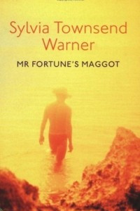 Книга Mr Fortune's Maggot