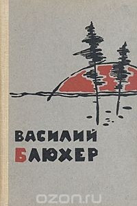 Книга Василий Блюхер
