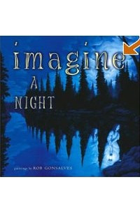 Книга Imagine a Night