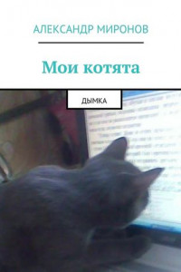 Книга Мои котята. Дымка