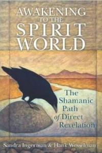 Книга Awakening to the Spirit World: The Shamanic Path of Direct Revelation