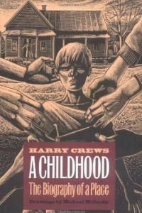 Книга A Childhood: The Biography of a Place