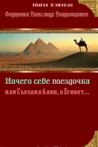 Книга Ничего себе поездочка или съездил, блин, в Египет