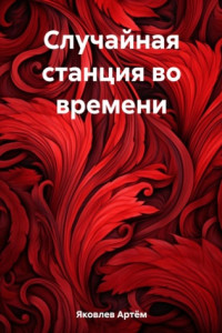 Книга Случайная станция во времени