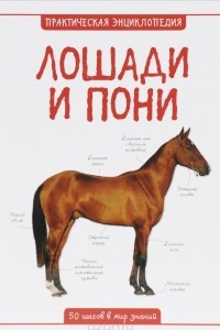 Книга Лошади и пони