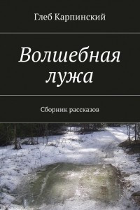 Книга Волшебная лужа. Сборник рассказов