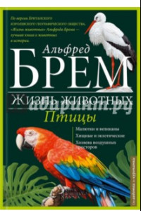 Книга Птицы. А-К