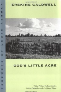 Книга God's Little Acre
