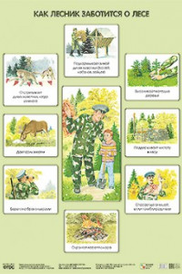 Книга ПЛ Как лесник заботится о лесе