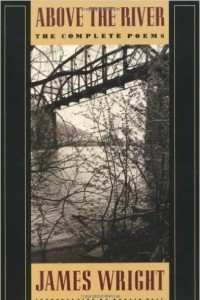 Книга Above The River: The Complete Poems