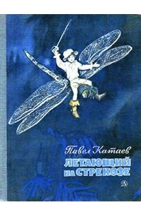 Книга Летающий на стрекозе