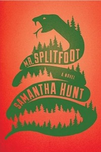 Книга Mr. Splitfoot