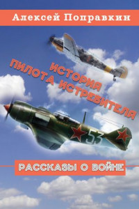 Книга История пилота истребителя (сборник)
