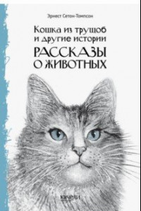 Книга Кошка из трущоб и другие истории
