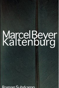 Книга Kaltenburg