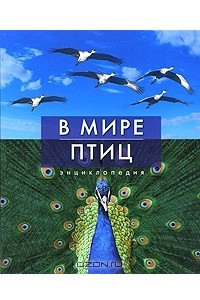 Книга В мире птиц. Энциклопедия