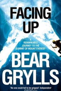 Книга Facing Up: A Remarkable Journey to the Summit of Mount Everest