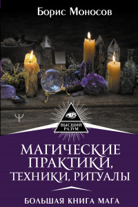 Книга Магические практики, техники, ритуалы. Большая книга мага
