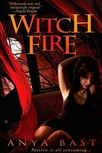 Книга Witch Fire