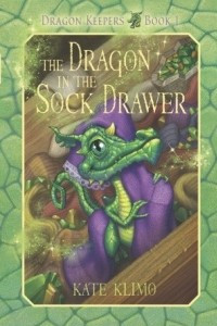Книга The Dragon in the Sock Drawer