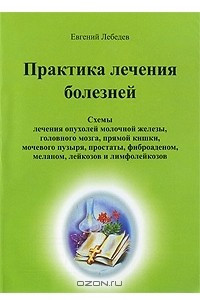 Книга Практика лечения болезней