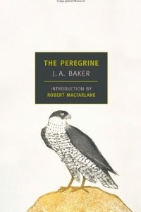 Книга The Peregrine
