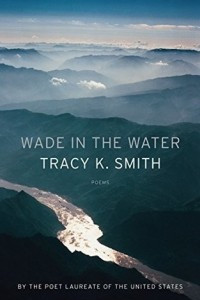 Книга Wade in the Water