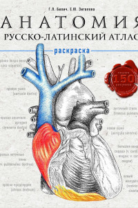Книга Анатомия: русско-латинский атлас-раскраска