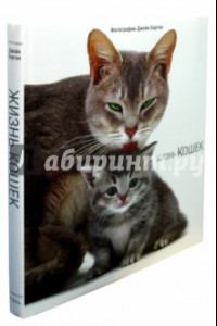 Книга Жизнь кошек