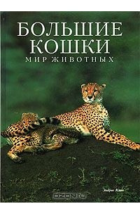 Книга Большие кошки