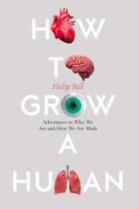 Книга How to Build a Human: Adventures in How We Are Made and Who We Are