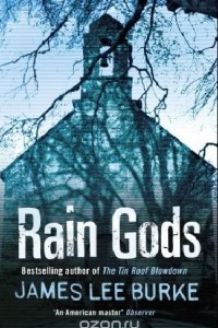 Книга Rain Gods