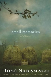 Книга Small Memories