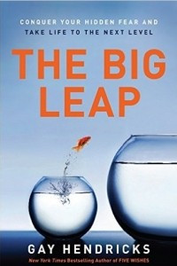 Книга The Big Leap: Conquer Your Hidden Fear and Take Life to the Next Level