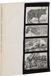 Книга Трагедия диких животных