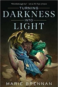 Книга Turning Darkness Into Light