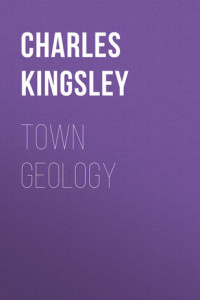 Книга Town Geology